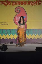 at Handloom fashion show by NIFD in Bandra, Mumbai on 27th Feb 2012 (11).JPG